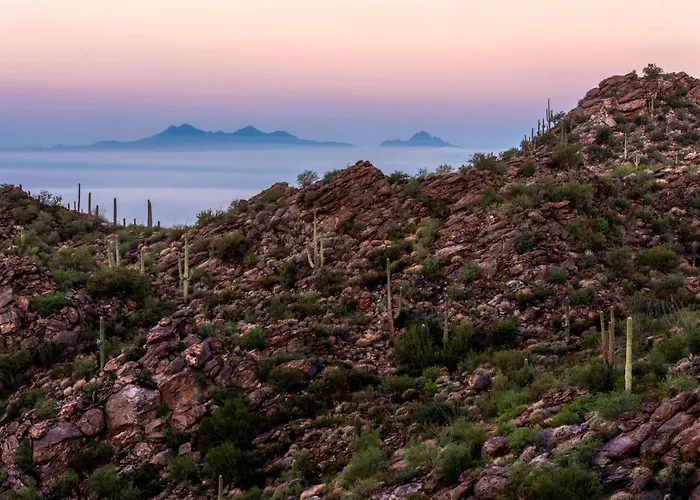The Ritz-carlton, Dove Mountain Rillito
