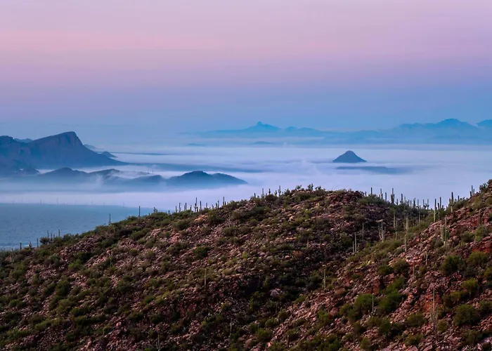 The Ritz-carlton, Dove Mountain Resort 5*