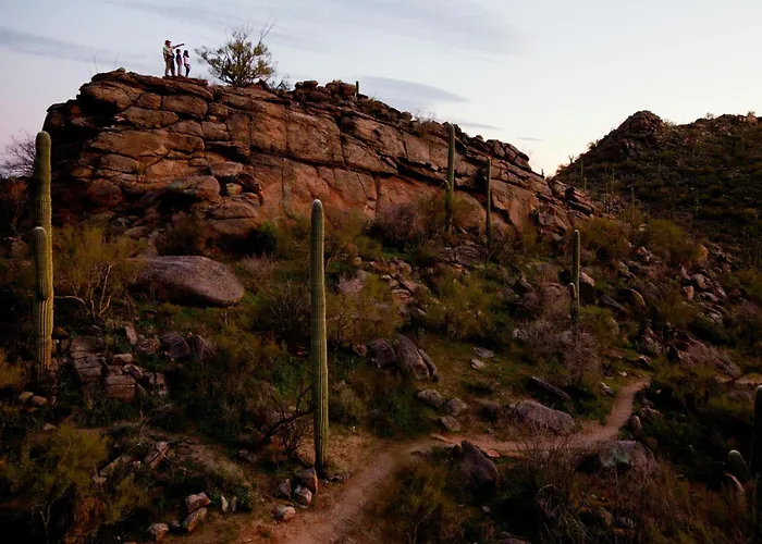 The Ritz-carlton, Dove Mountain Resort 5*