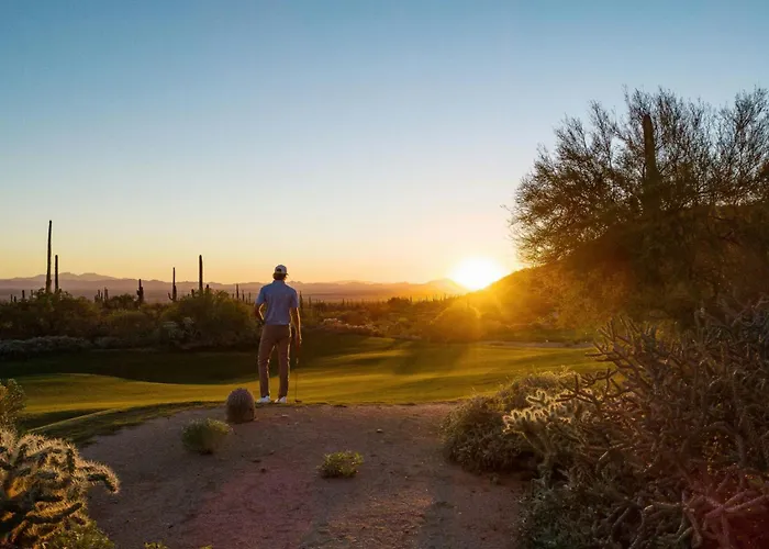 Resort The Ritz-carlton, Dove Mountain 5*