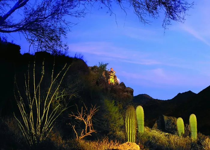 The Ritz-carlton, Dove Mountain 5*