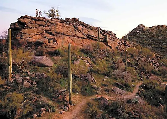 Resort The Ritz-carlton, Dove Mountain Rillito