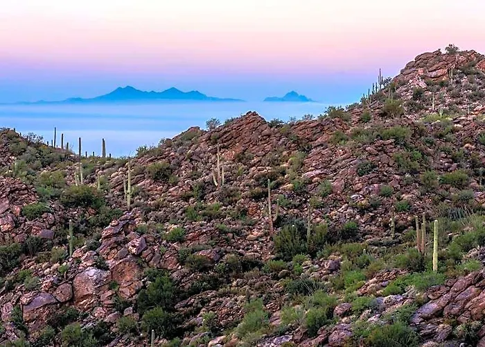 The Ritz-carlton, Dove Mountain Resort
